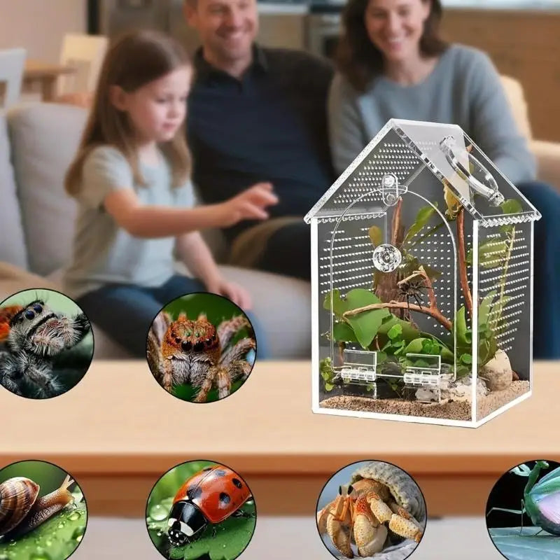Clear Acrylic Reptiles Breading Box - ProPawPet.com