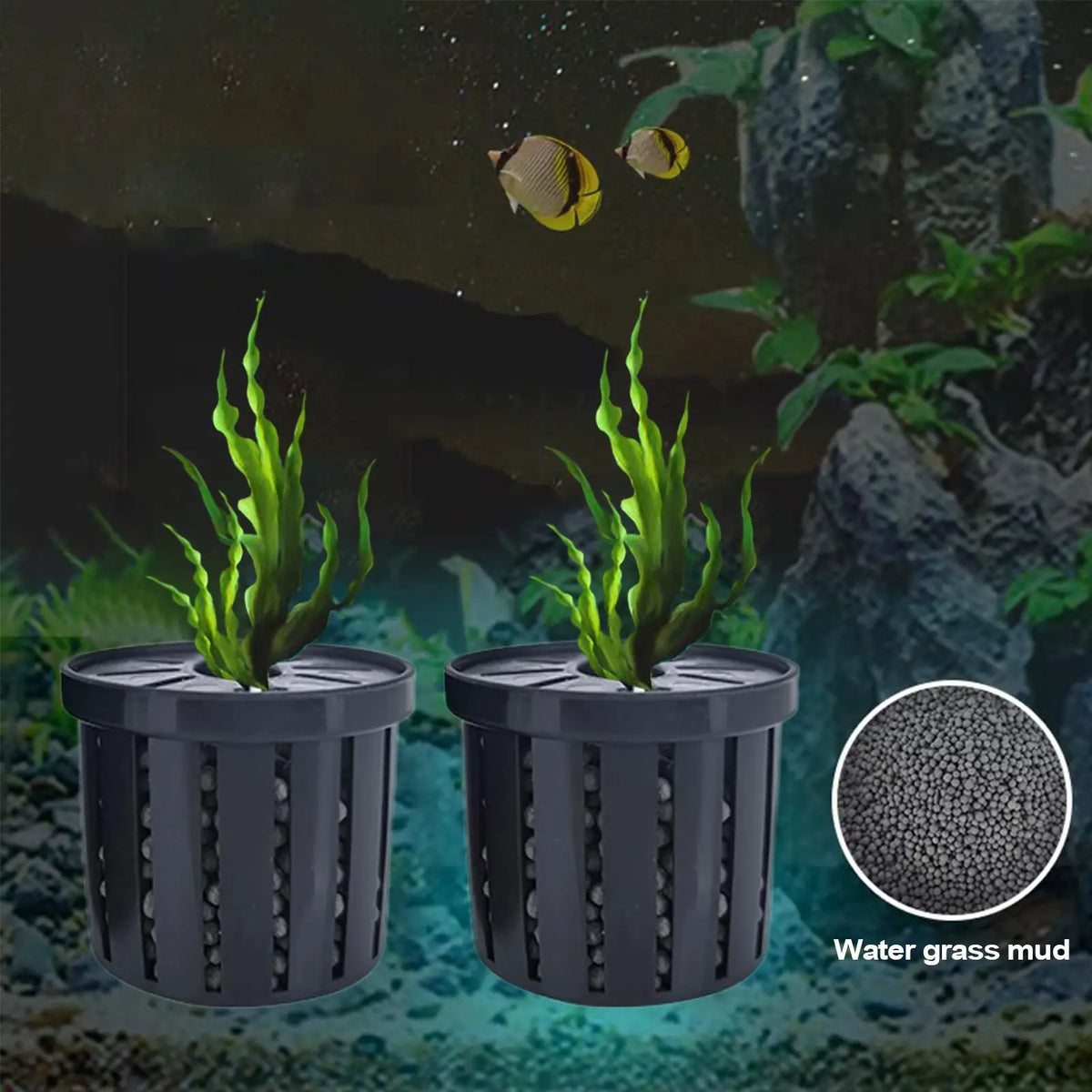 Aquarium Plant Holder Stable Fish Tank Plant - ProPawPet.com