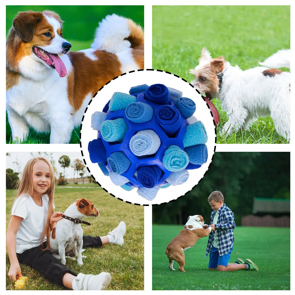 Dog Sniffing Ball Innovative Pet Shaking - ProPawPet.com