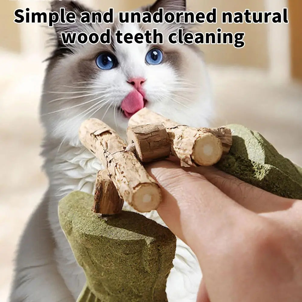 Funny Fish Bone Cat Toys Cat Teeth Cleaning - ProPawPet.com