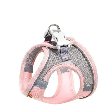 Cats Dog Accessories Small Dog Collar Safety - ProPawPet.com