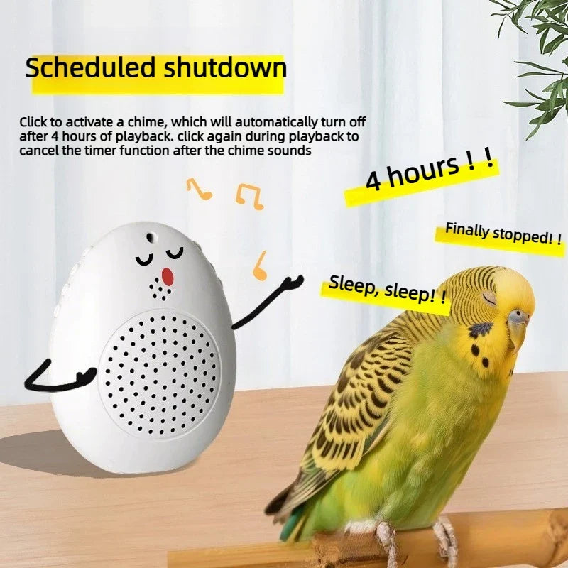 Recording Bird Learning Ma Interactive - ProPawPet.com