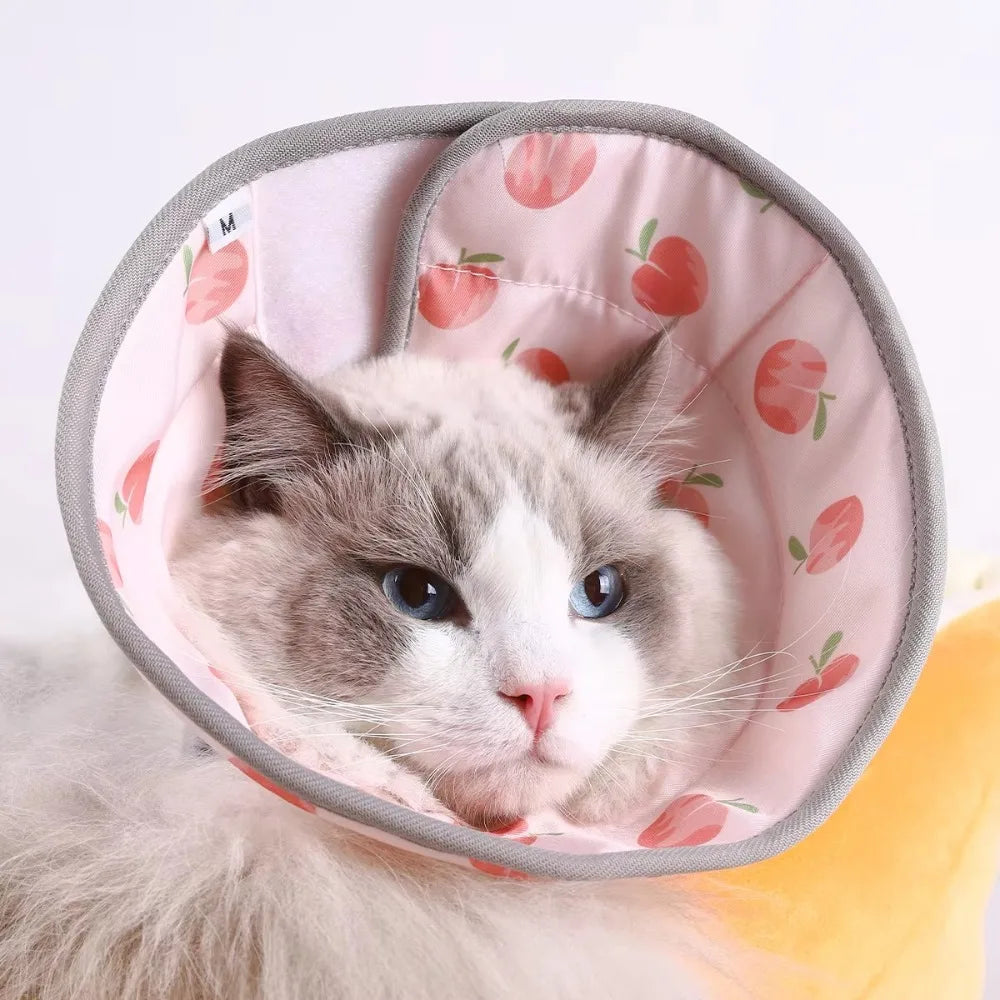 Adjustable Cat Recovery Collar Lightweight - ProPawPet.com