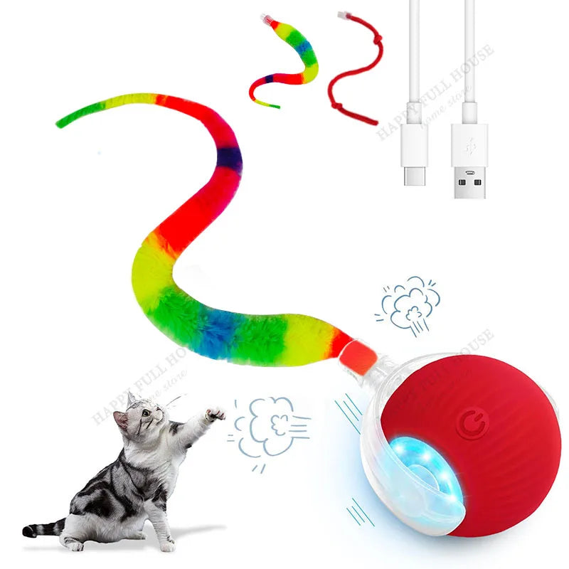 2 in 1 Cat Toy Interactive Ball for Indoor - ProPawPet.com