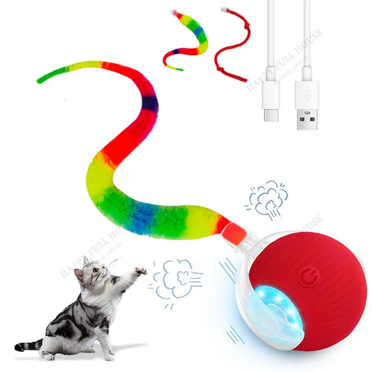 2 in 1 Cat Toy Interactive Ball for Indoor - ProPawPet.com