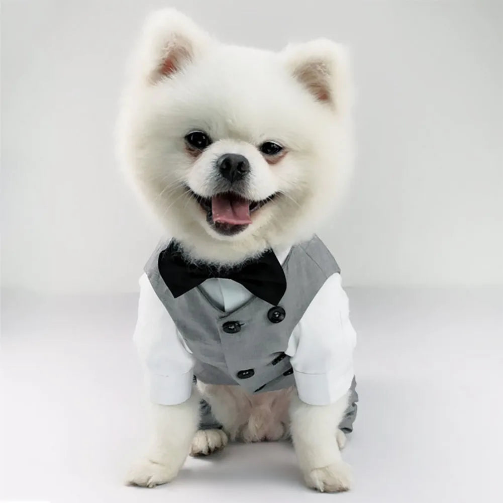 Dog Tuxedo - ProPawPet.com