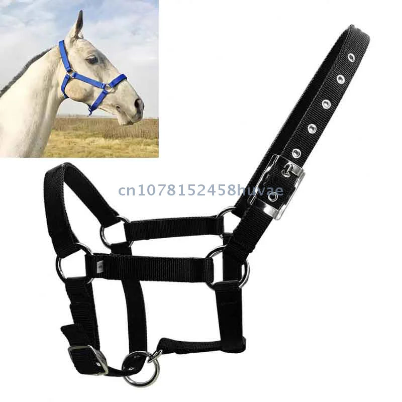 1 Pc Adjustable Nylon Webbing Equestrian - ProPawPet.com