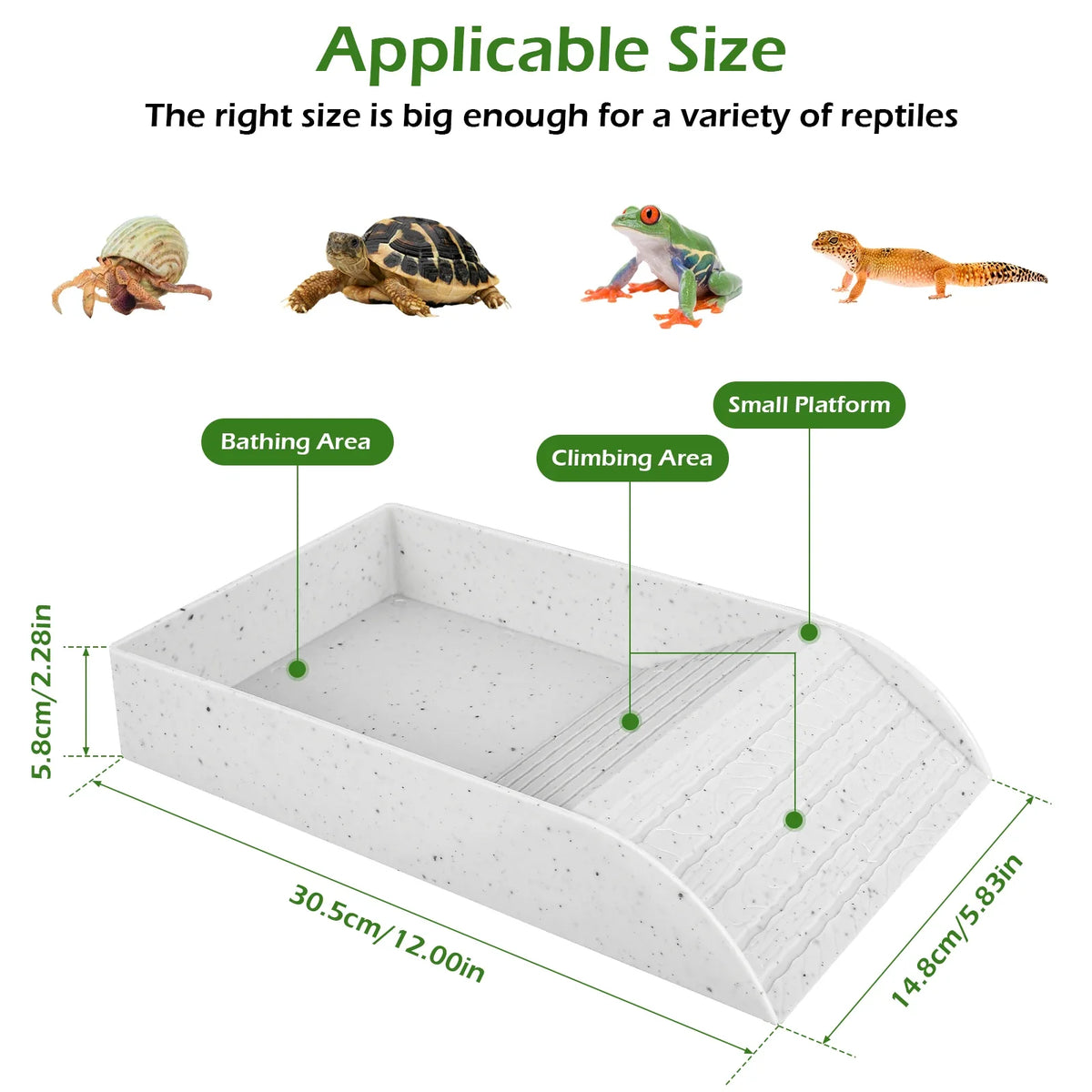 Plastic Tortoise Food Dish Turtle Tank Water Feeder for Reptiles