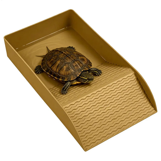 Turtle Bathing Pool Feeding Dish Basking - ProPawPet.com