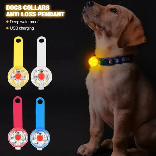 LED Pet Tracking Luminous Pendant Bright - ProPawPet.com