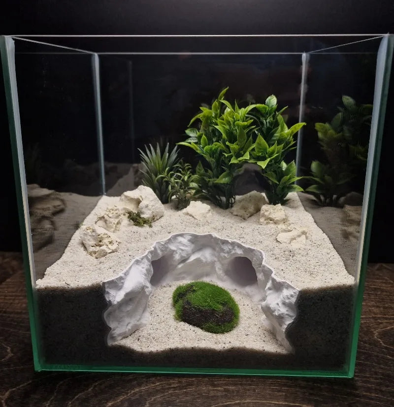 2-in-1 Water & Land Hiding Cave Tunnel for - ProPawPet.com