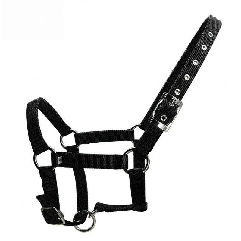 Adjustable Thickened PPWebbing Equestrian - ProPawPet.com