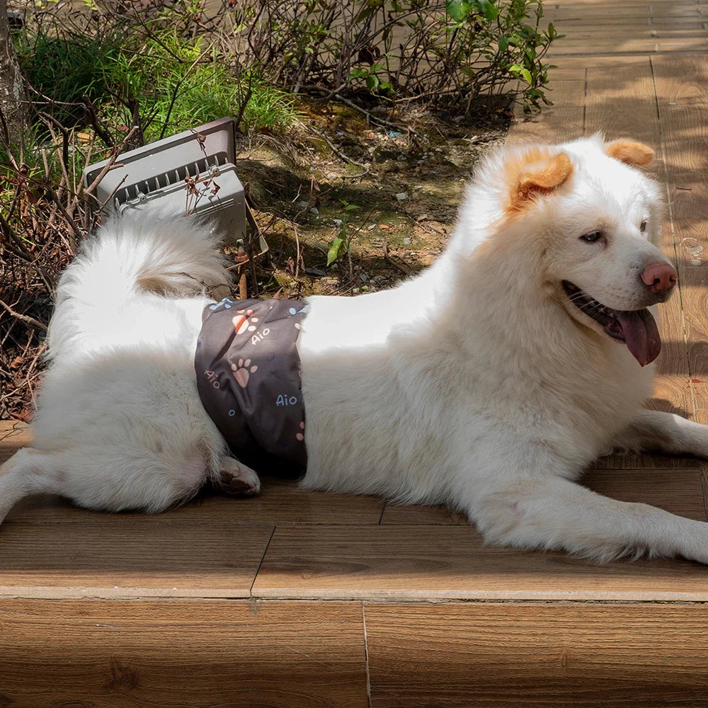 3PCS Durable Washable Male Dog Diaper Wraps - ProPawPet.com
