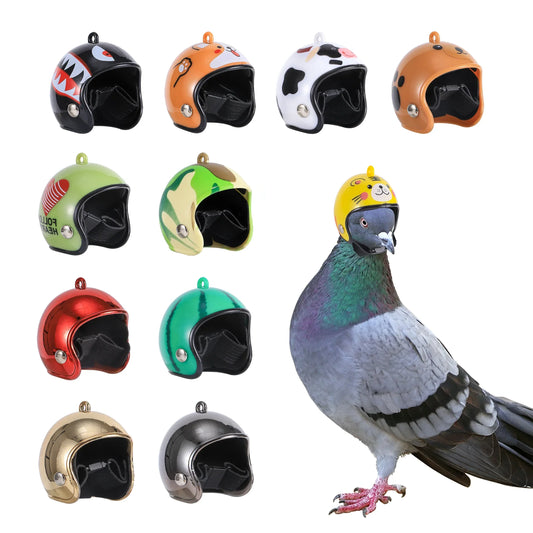 Pigeon Helmet Parrot Hat Bird Pet Protective - ProPawPet.com