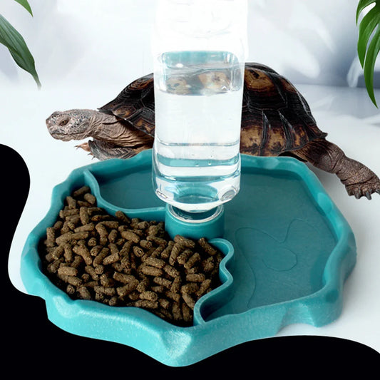 1pc - Reptile Feeder, Turtle Food Dish, - ProPawPet.com
