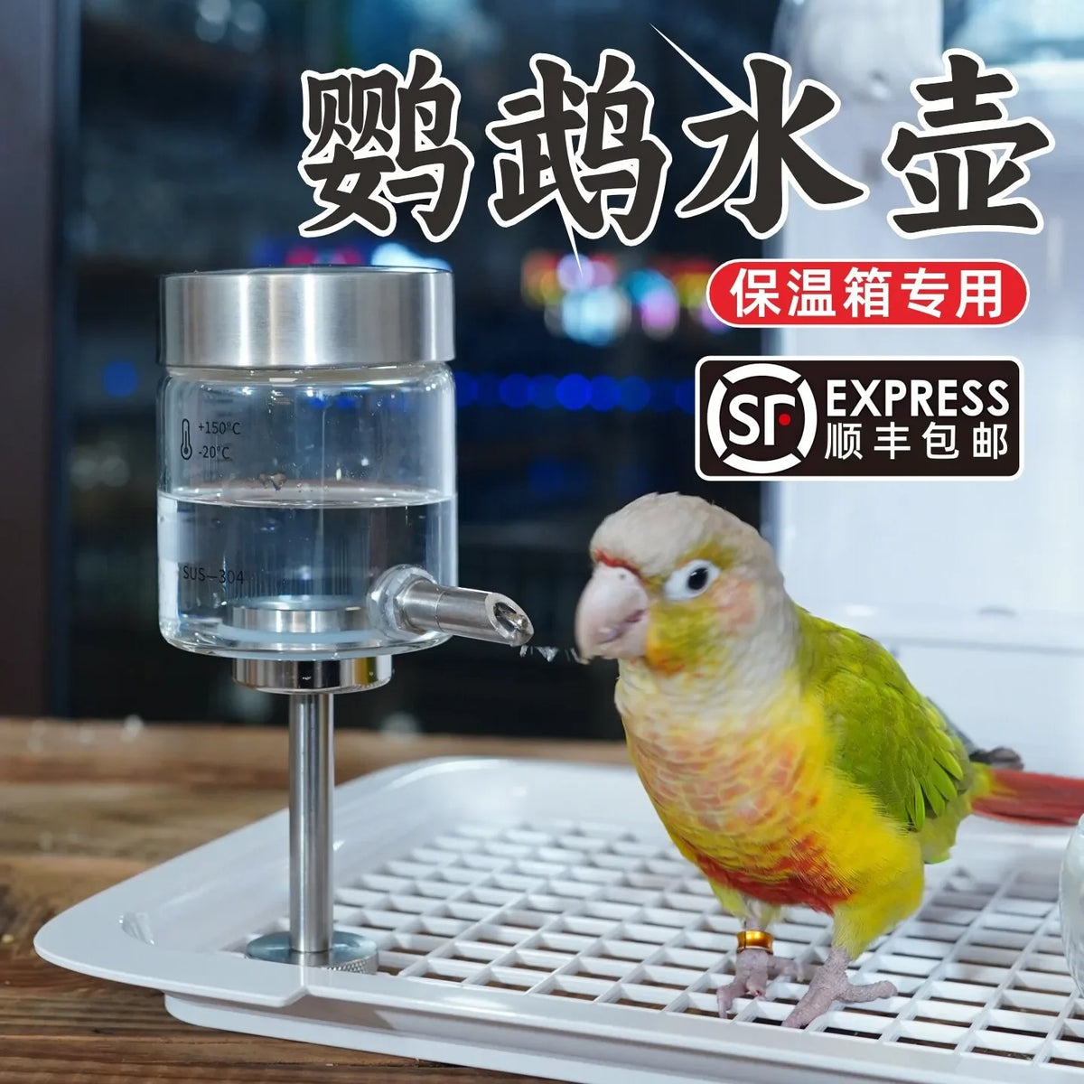 Parrot Incubator Special Kettle Magnetic - ProPawPet.com