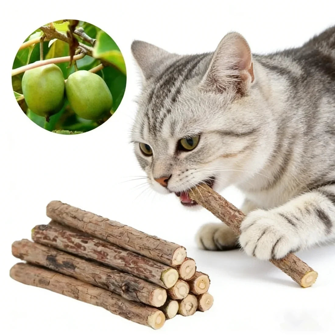 Natural Silver Vine Chew Sticks Catnip Molar - ProPawPet.com