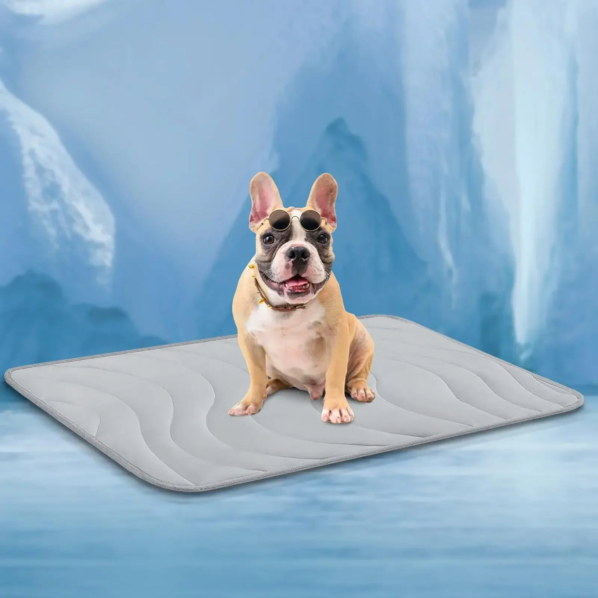 Double-Sided Gentle Wear Resistant Pet Ice - ProPawPet.com