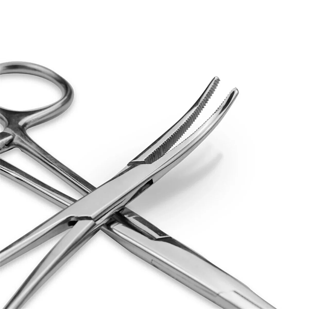1 Pc Medical Steel Curved Head Hemostatic - ProPawPet.com