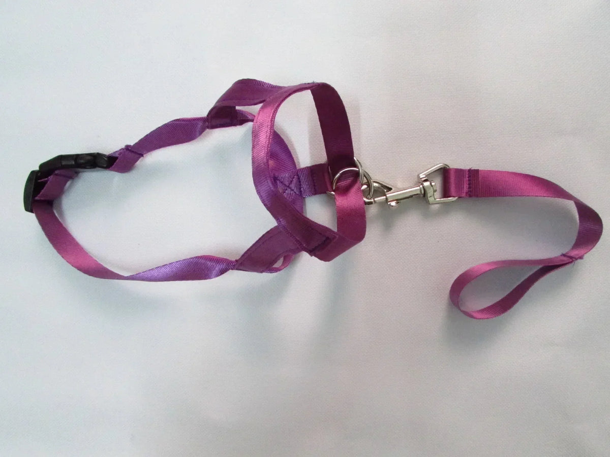 New Nylon Dog Muzzle Dogalter Dog Halter - ProPawPet.com