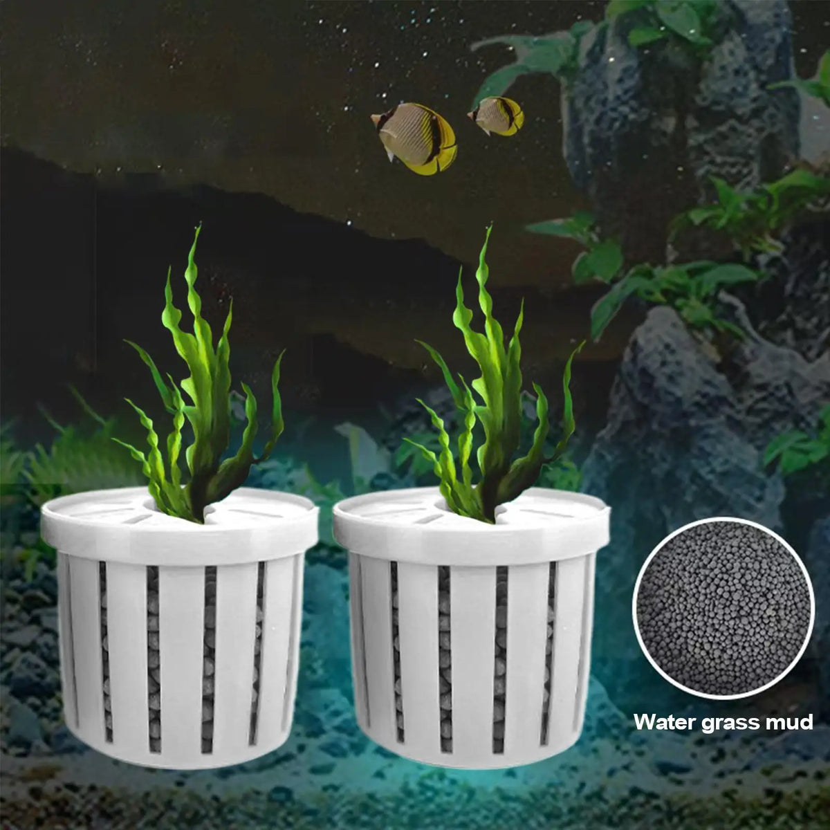 Aquarium Plant Holder Stable Fish Tank Plant - ProPawPet.com