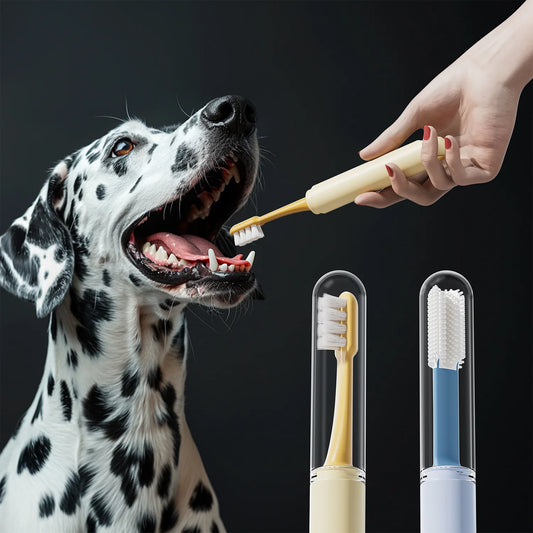 2in1 Cleaning Dog toothbrush Soft Hair Pet - ProPawPet.com