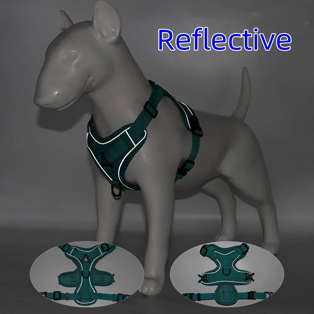 Harness and Leash Set Pet Accessories Dog - ProPawPet.com