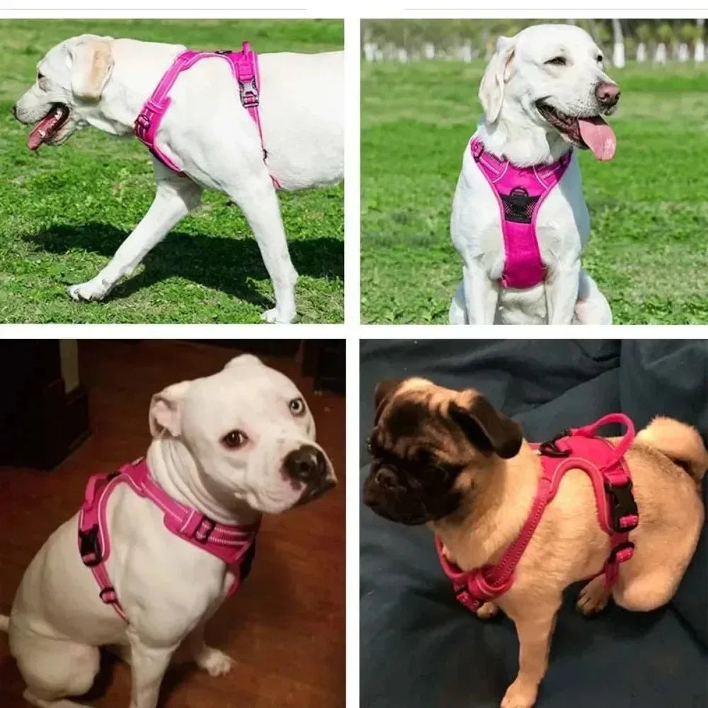 Reflective Adjustable Breathable Vest Chest - ProPawPet.com