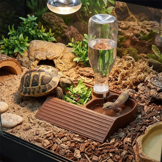 2 in 1 Reptile Feeder Station Automatic Fill - ProPawPet.com
