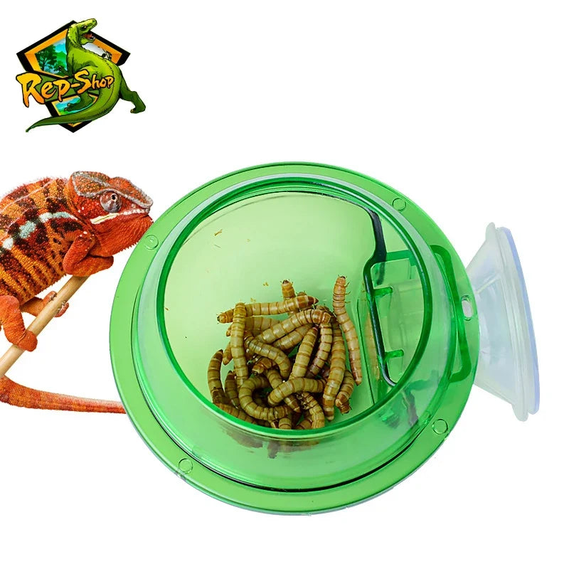 Reptile Feeder Chameleon Feeding Food Bowl - ProPawPet.com