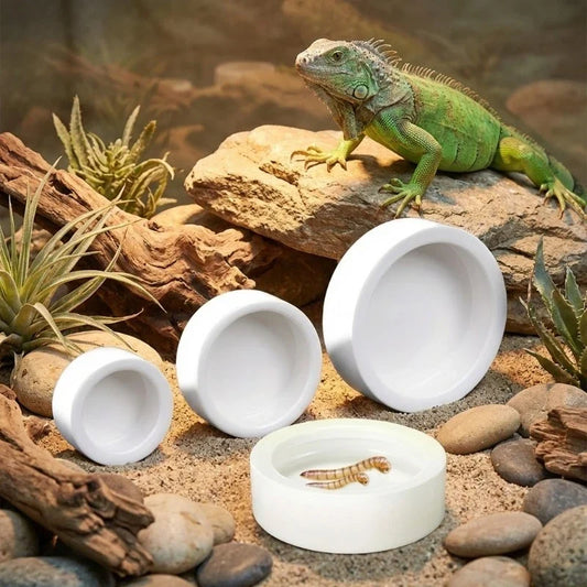 Anti-Escape Ceramic Reptile Bowl Mealworm - ProPawPet.com