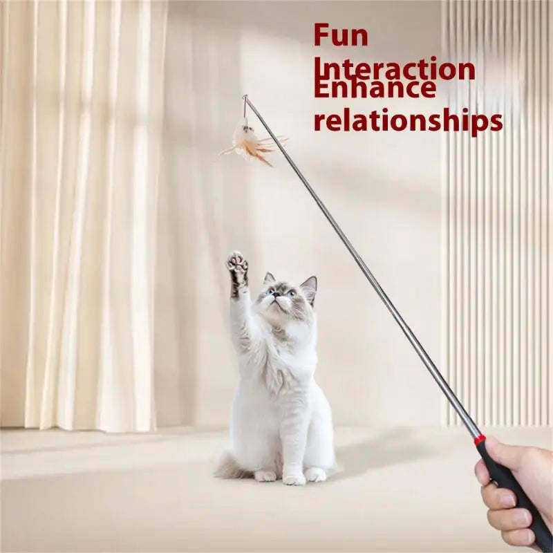 Felines Fun Retractable Teaser Wand Toy Cats - ProPawPet.com