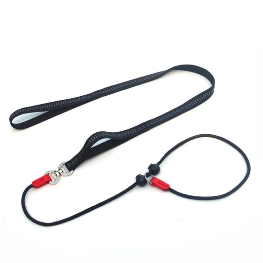 Training Dog Choking Rope Leash 3Colors Lead - ProPawPet.com