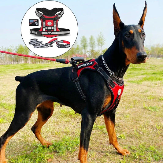 Doberman Dog Harness Collar Leash Set - ProPawPet.com