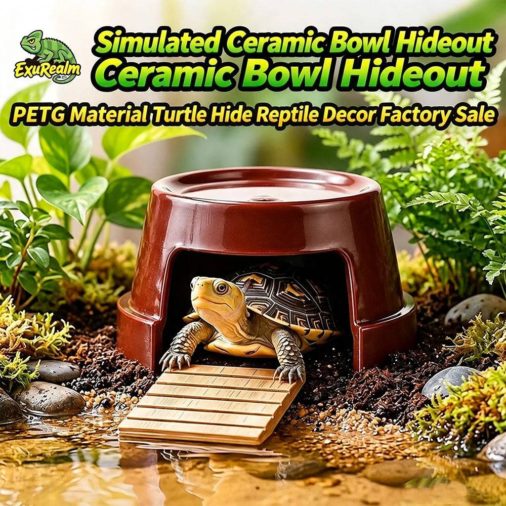 Reptile Terrarium Turtle Hideout Cave - ProPawPet.com
