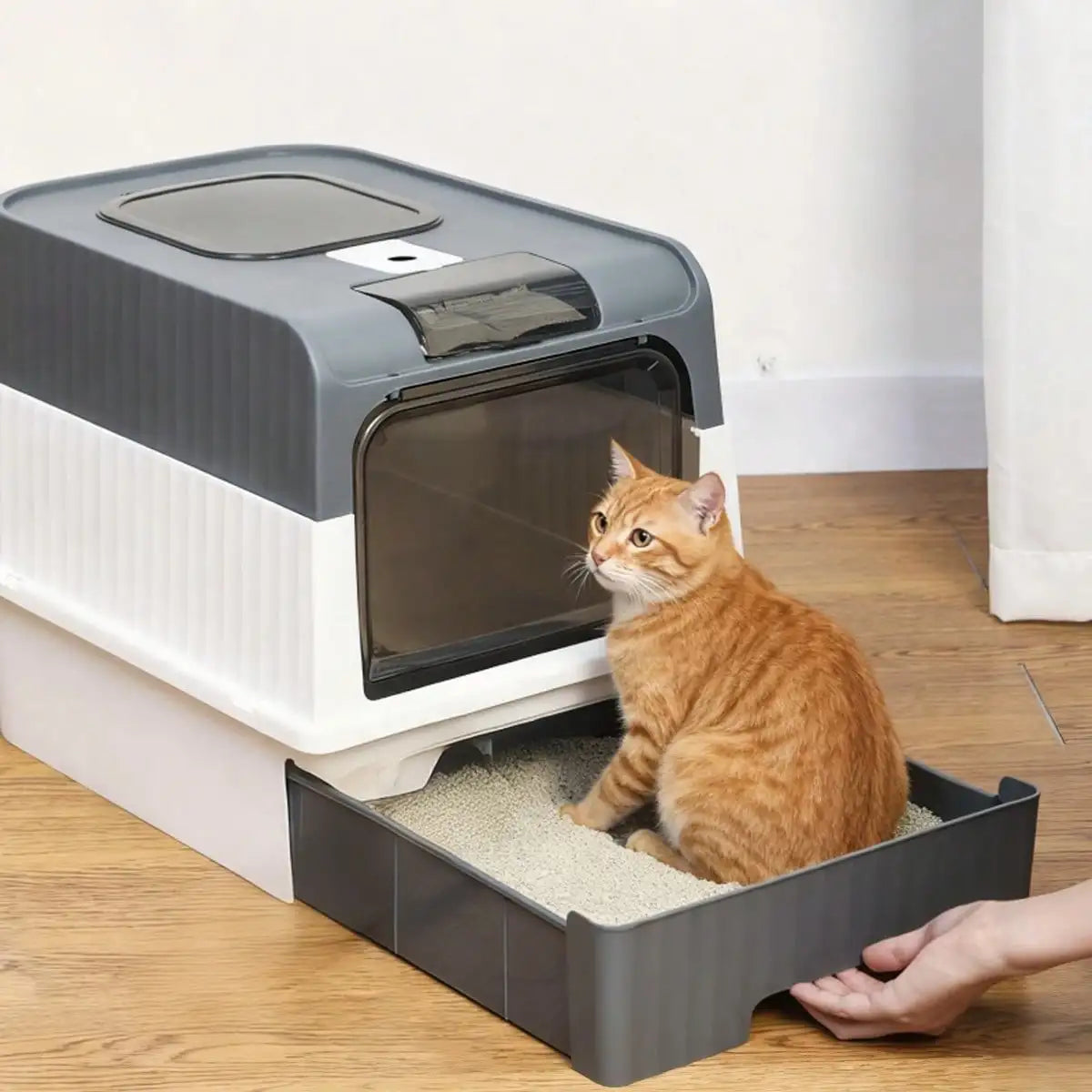 Fully Enclosed Cat Litter Box with Top Entry - ProPawPet.com