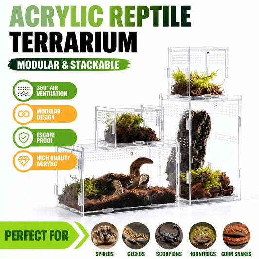 Durable Acrylic Reptile Habitat Clear - ProPawPet.com