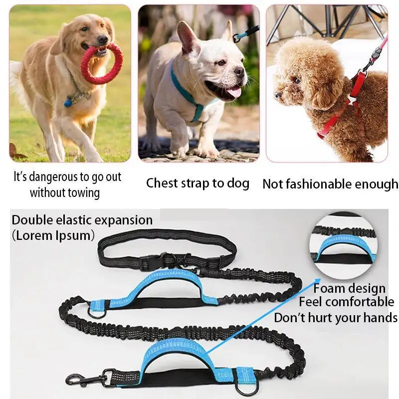 Double Elastic Reflective Running Leash - ProPawPet.com