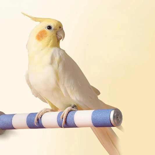 Pets Parrot Bird Claw Beak Grinding Perches - ProPawPet.com