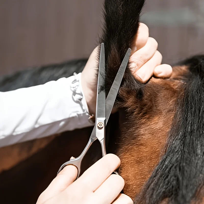 Horse Grooming Tool Set Stainless Steel Fine - ProPawPet.com