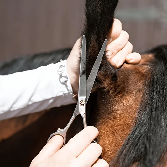 Horse Grooming Tool Set Stainless Steel Fine - ProPawPet.com