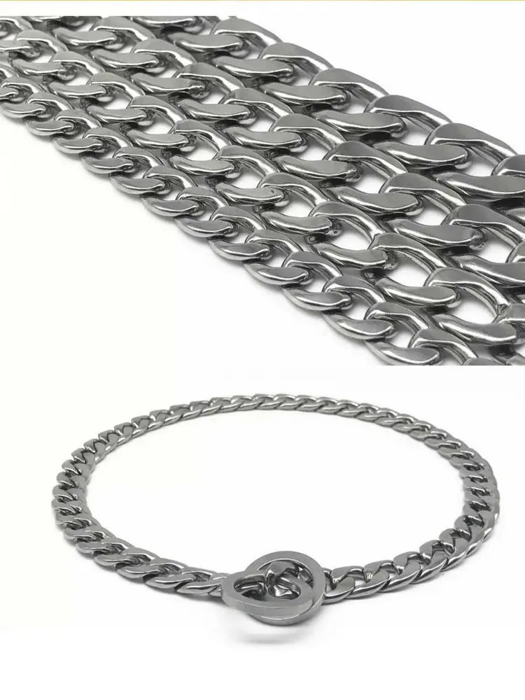 30-75CM 304 Stainless Steel P Chain Dog - ProPawPet.com