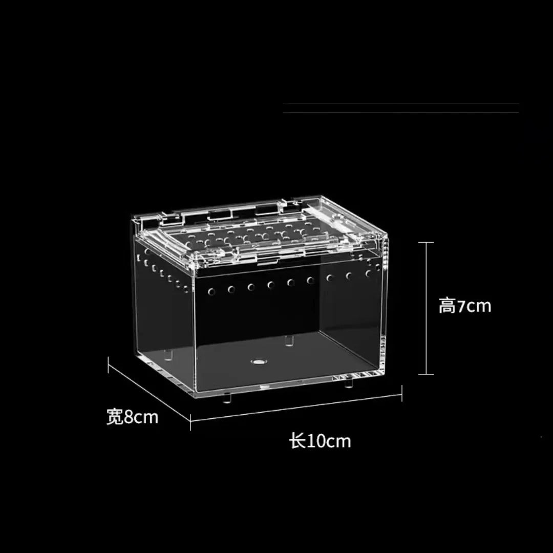 Transparent Integrated No Assembly Pet Feeding Tank – 3 Colors