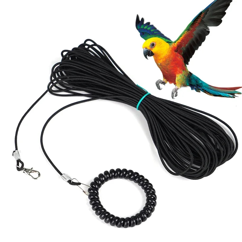 Pet Bird Outdoor Training Harness Rope Bird - ProPawPet.com