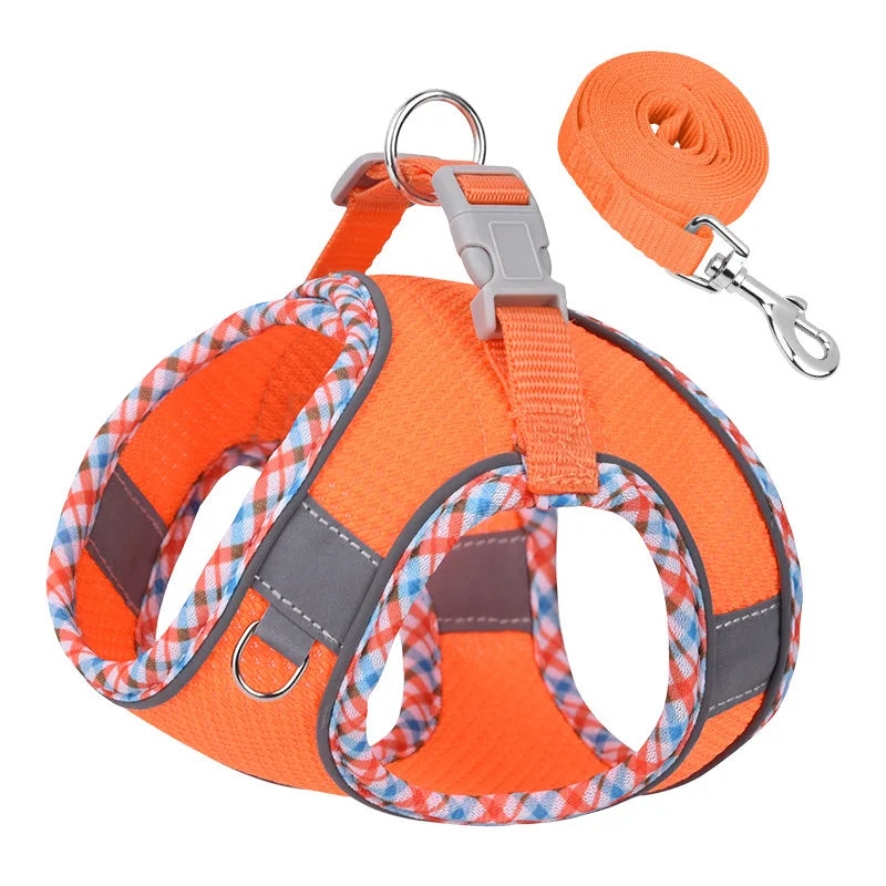 New Arrivals Cat Dog Harness and Leash Set - ProPawPet.com