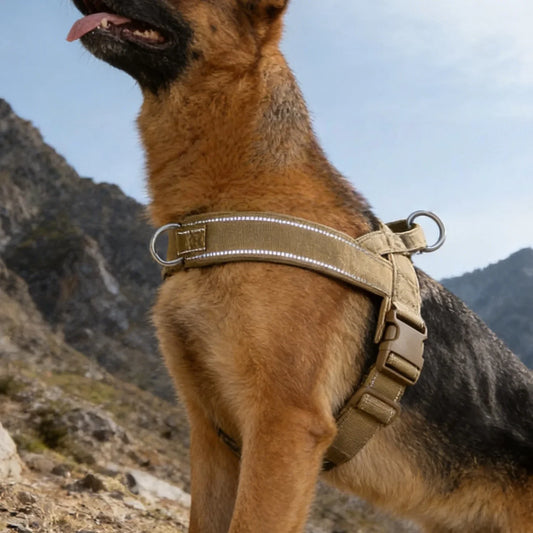 Tactical No-Pull Dog Harness for Large - ProPawPet.com