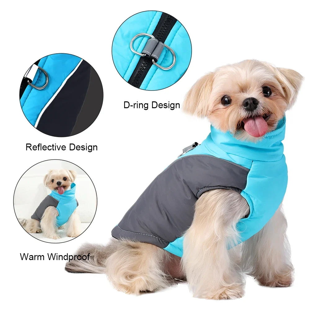 Winter Dog Jacket Warm Waterproof Clothes - ProPawPet.com