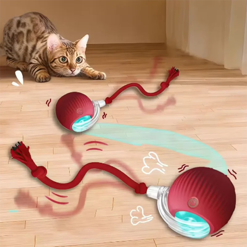 Hot Cat Toys Are Automatically Teasing Cat - ProPawPet.com