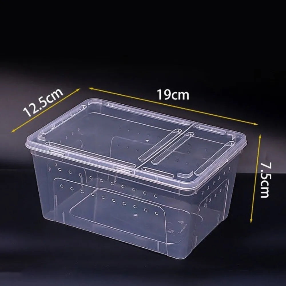 Transparent Reptile Breeding Box – 3 Colors