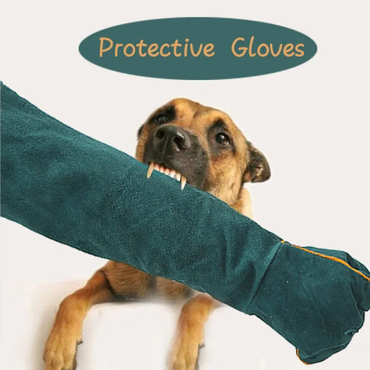 Green Thick Leather Anti-Bite Anti-Scratch - ProPawPet.com